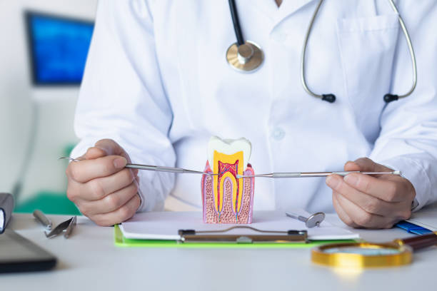 Best Emergency Dental Services for Seniors in Lake Panasoffkee, FL